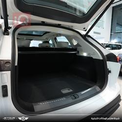 جيتور داشينج